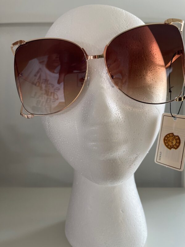 Brown Hue Sunglasses